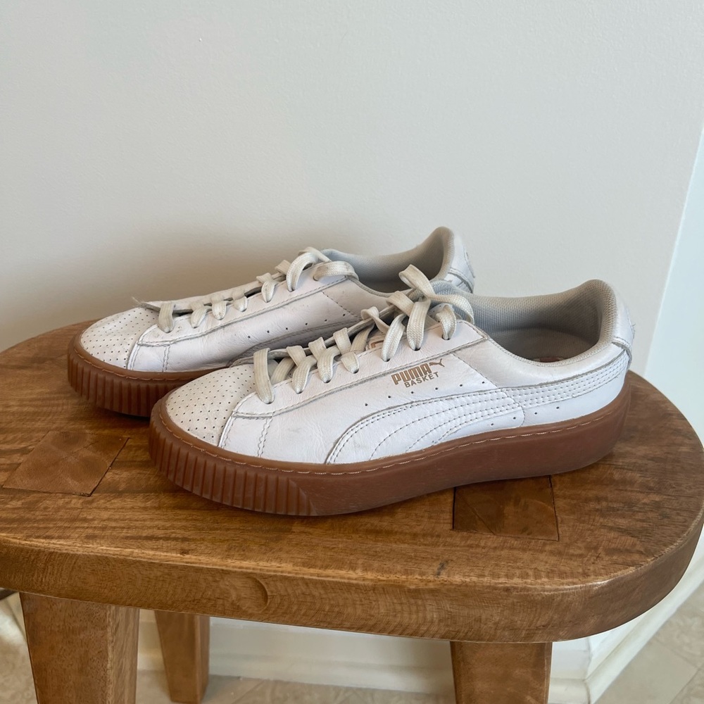 White pumas